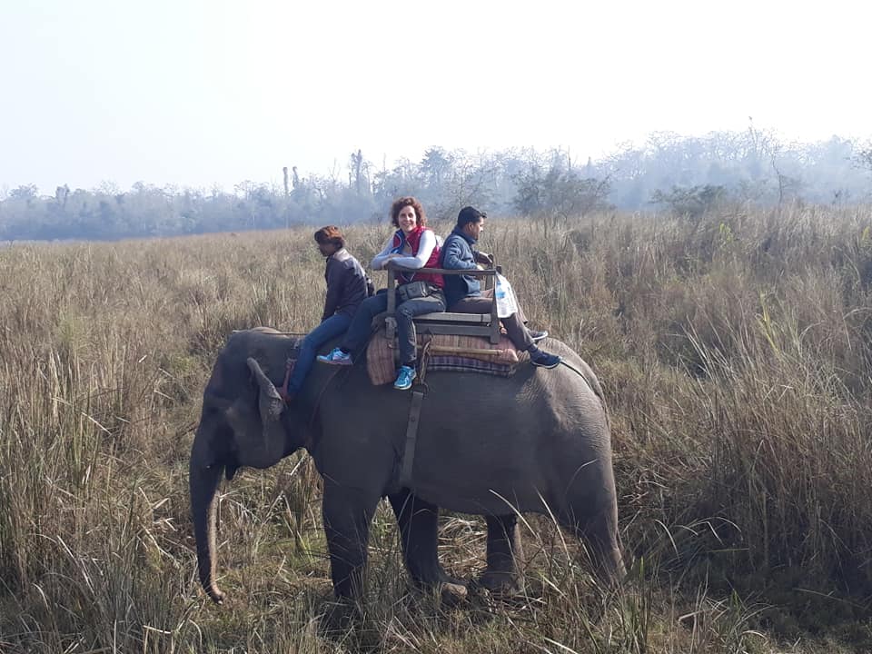 Chitwan Elephant Safari
